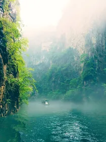 逐梦江湖在世间