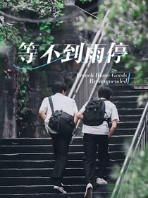 文轩：等不到雨停