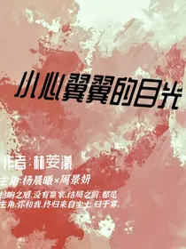 小心翼翼的目光（已弃）