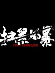 扫黑风暴：偏执的他