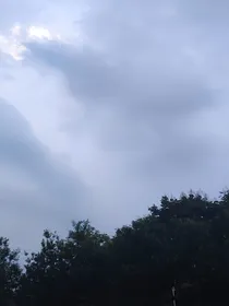 凹凸世界弟弟组马甲要无了