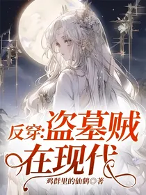 反穿：盗墓贼在现代