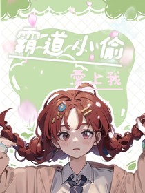 霸道小偷爱上我