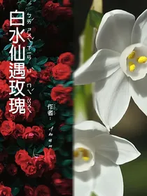 白水仙遇玫瑰