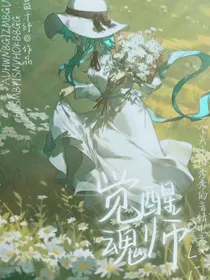 觉醒魂师