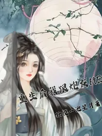 重生后我跟炮灰He了