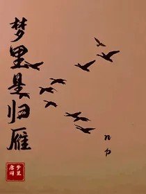 梦里是归雁