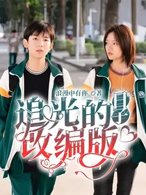 追光的日子改编版