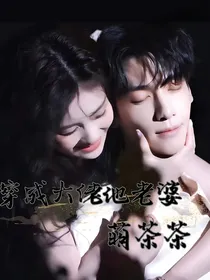 穿成大佬他老婆