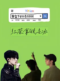黄昏下的梧桐树