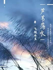 芦苇荡水