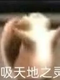 武倾九天