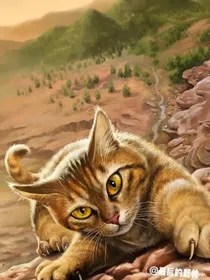 猫武士——一部曲（筹码）图穷匕见