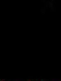 终点站9