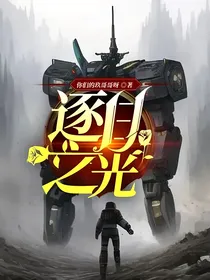 逐日之光