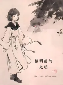 斗龙之黎明前的光明