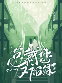 总裁，您又被绿了！