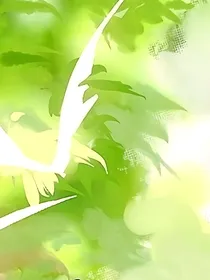 宝玲：万有引力