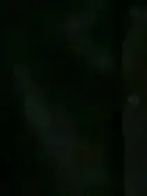 TNT：动物园里的动物
