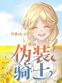 夜玩：伪装骑士