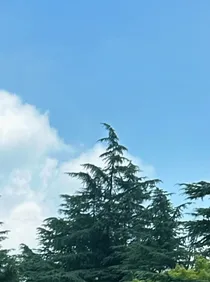 每晚睡前一个温柔小故事