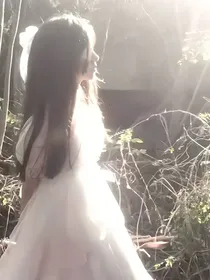 盛夏榆