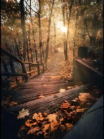 梦中诗