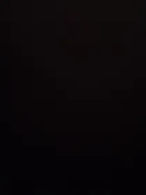 烂烂文