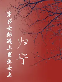 归宁——穿书女配遇上重生女主