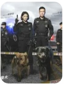 警花与警犬封力