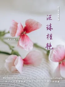 战斗王之飓风战魂：沤珠槿艳