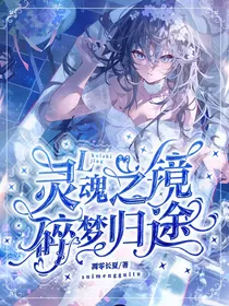 灵魂之镜：碎梦归途
