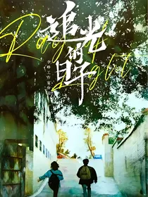 追光的日子十年篇