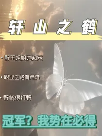王者荣耀：野山之鹤