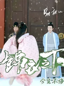 锦衣之下—今生不悔