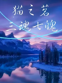 猫之茗之三魂七魄