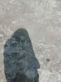 喜欢不是件小事