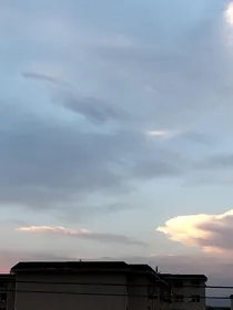 丞相府的小团子