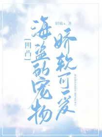 凹凸：海盗的宠物娇软可爱