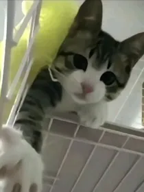 小短片散件