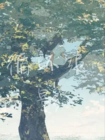 循环追影