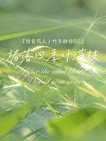 弦音：椿落四季叶满枝
