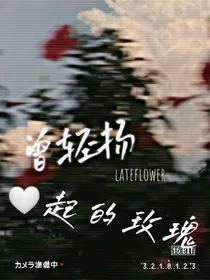 风曾轻扬起的玫瑰