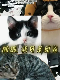 猫猫我可是团宠