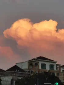 恋爱依赖症患者和皮肤饥渴症患者
