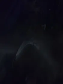 穿越之妄想修仙
