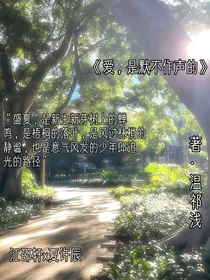爱是默不作声的