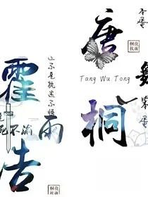 江湖行之唐门