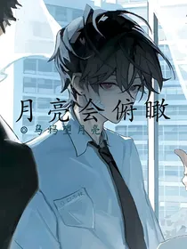 月亮会俯瞰