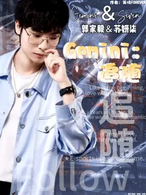 Gemini：追随